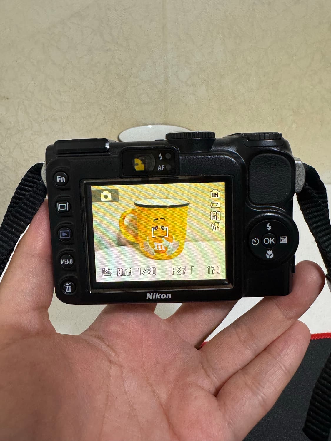 니콘 쿨픽스 P5100 디카 상품이미지3