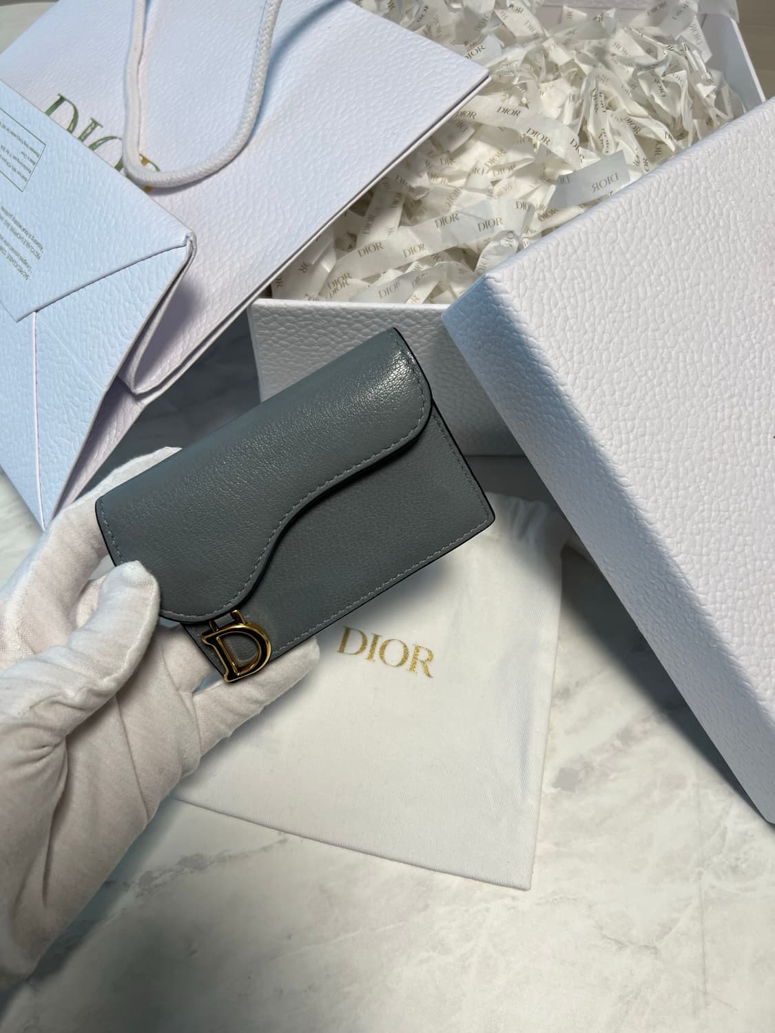 디올 새들 카드지갑 클라우드 블루 상품이미지1