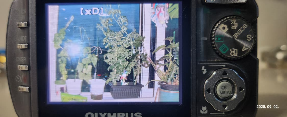 OLYMPUS 뮤 DIGITAL 800 빈티지 디지털카메라 상품이미지7