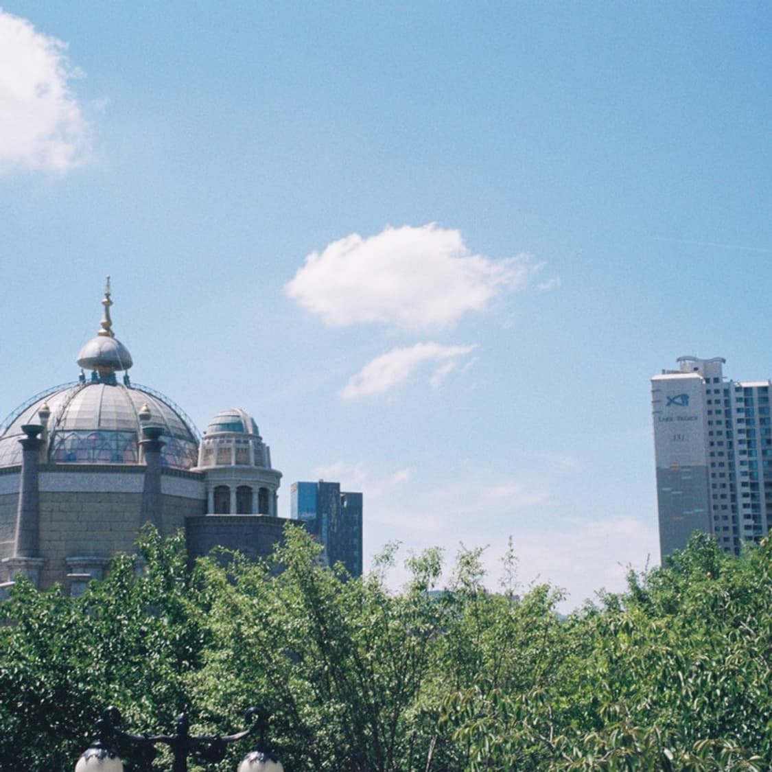 올림푸스 뮤 스타일러스 필름 카메라 (빈티지 카메라) 상품이미지8