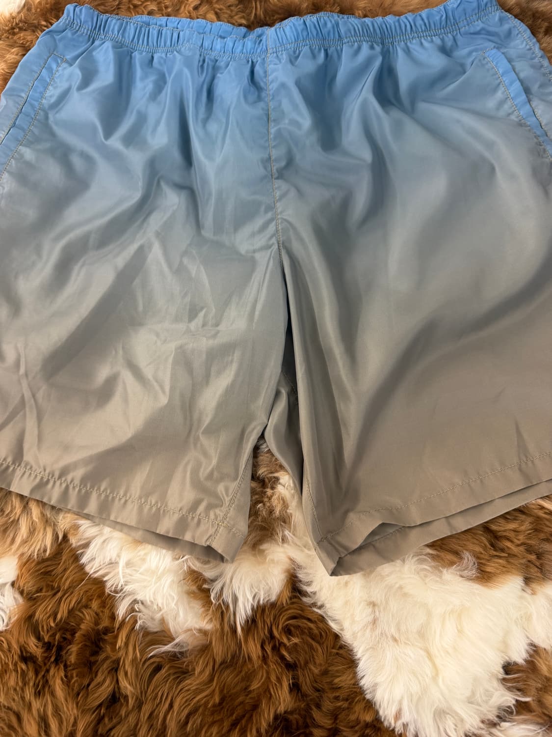 00s gradation swim pants  상품이미지4
