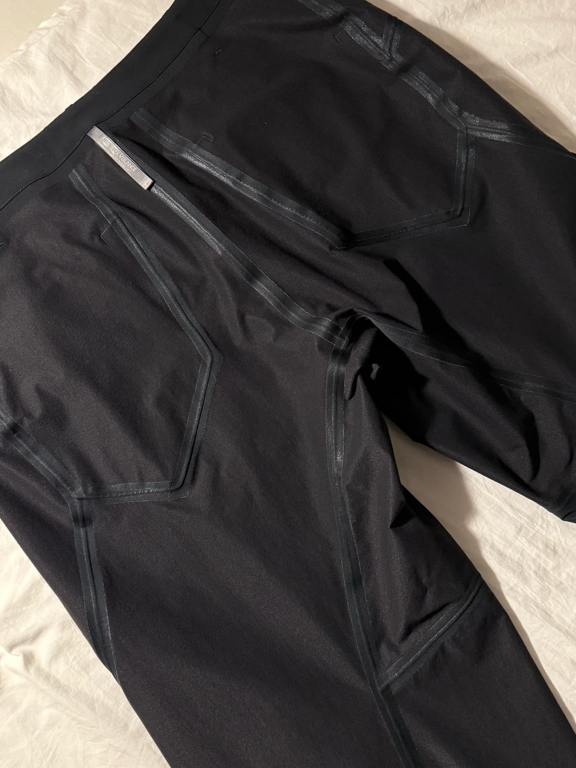 아크테릭스 베일런스 보로노이 팬츠 상품이미지9