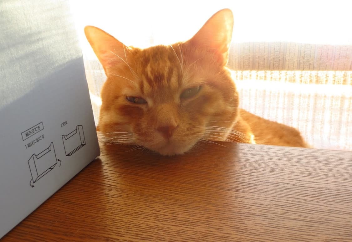 캐논 익서스 Canon IXUS 125 HS 핑크 상품이미지5