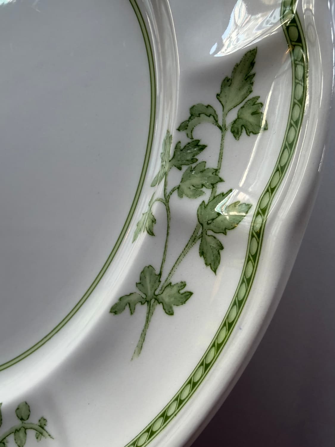 리차드 지노리 Richard Ginori (Fresh Herbs) 디너  상품이미지6