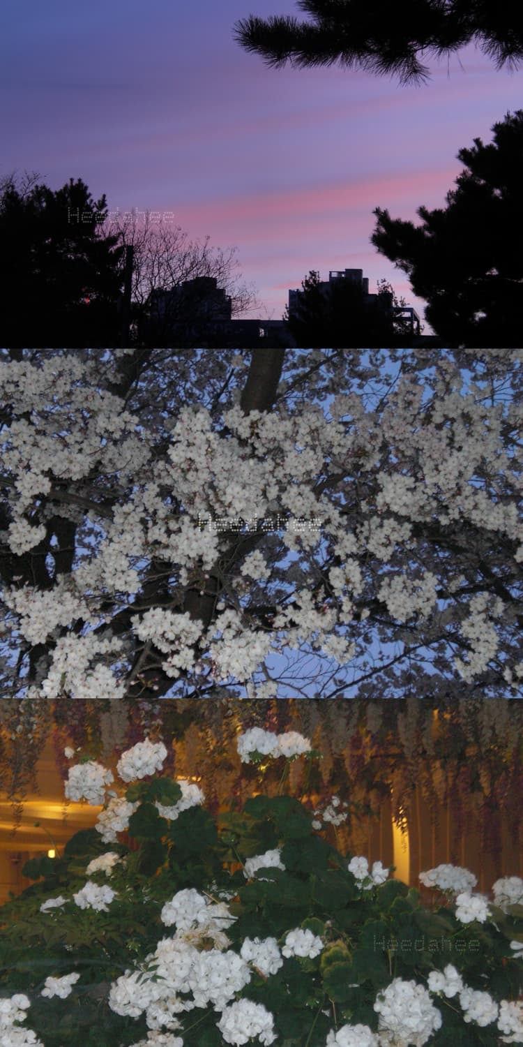 민트급🩵 연예인디카 카시오 엑슬림 ex-z85 작례⭕️| CCD 슬림 상품이미지3