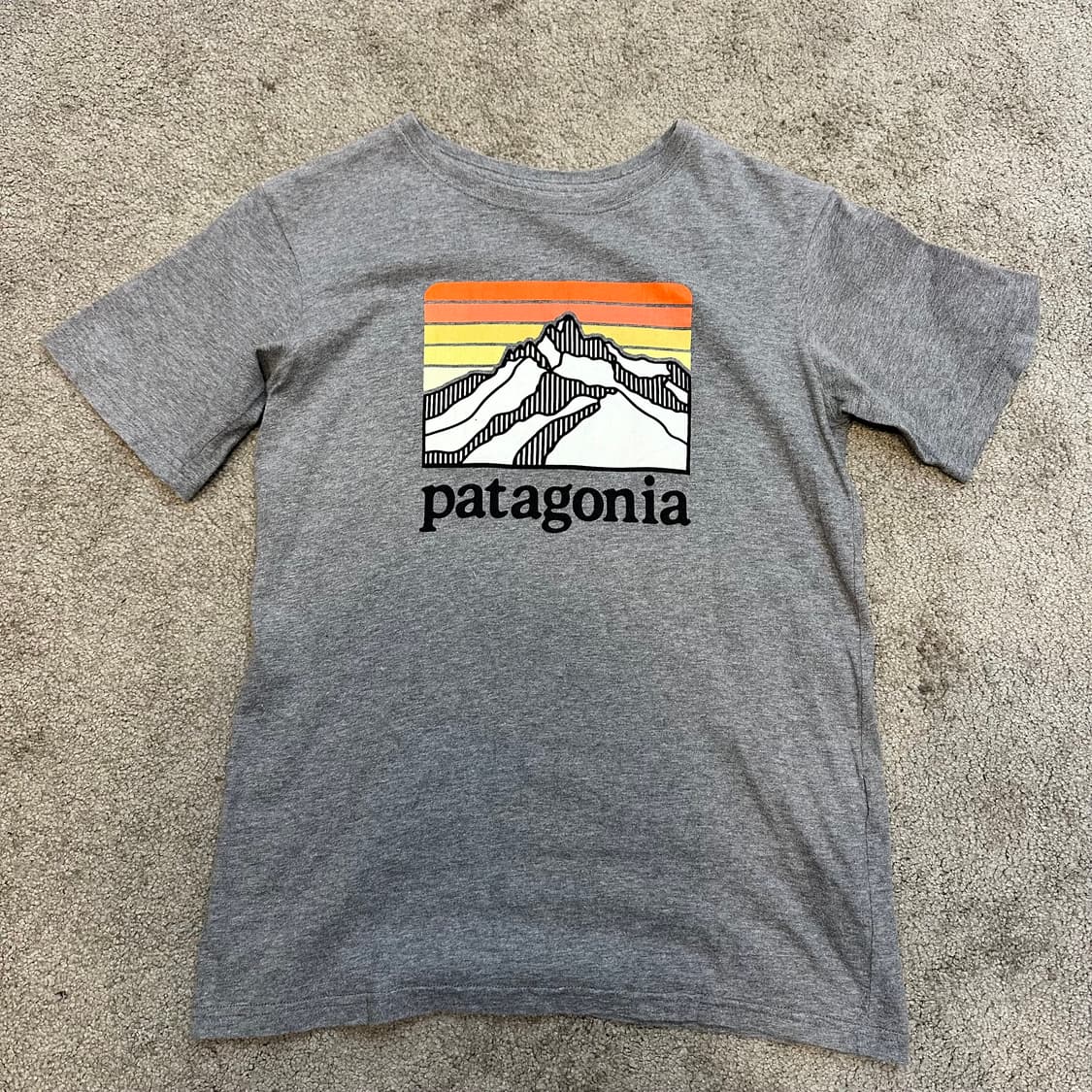 파타고니아 라인 로고 리스폰시빌리티 티셔츠 M 상품이미지1