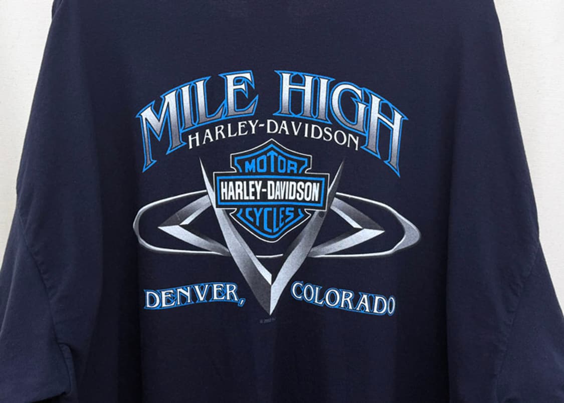 할리데이비슨 빈티지 라이트닝 롱슬리브 상품이미지7