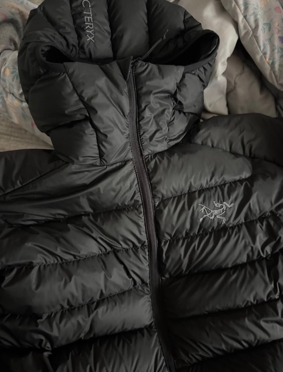 아크테릭스 세륨 22Fw M사이즈 팝니다 상품이미지1