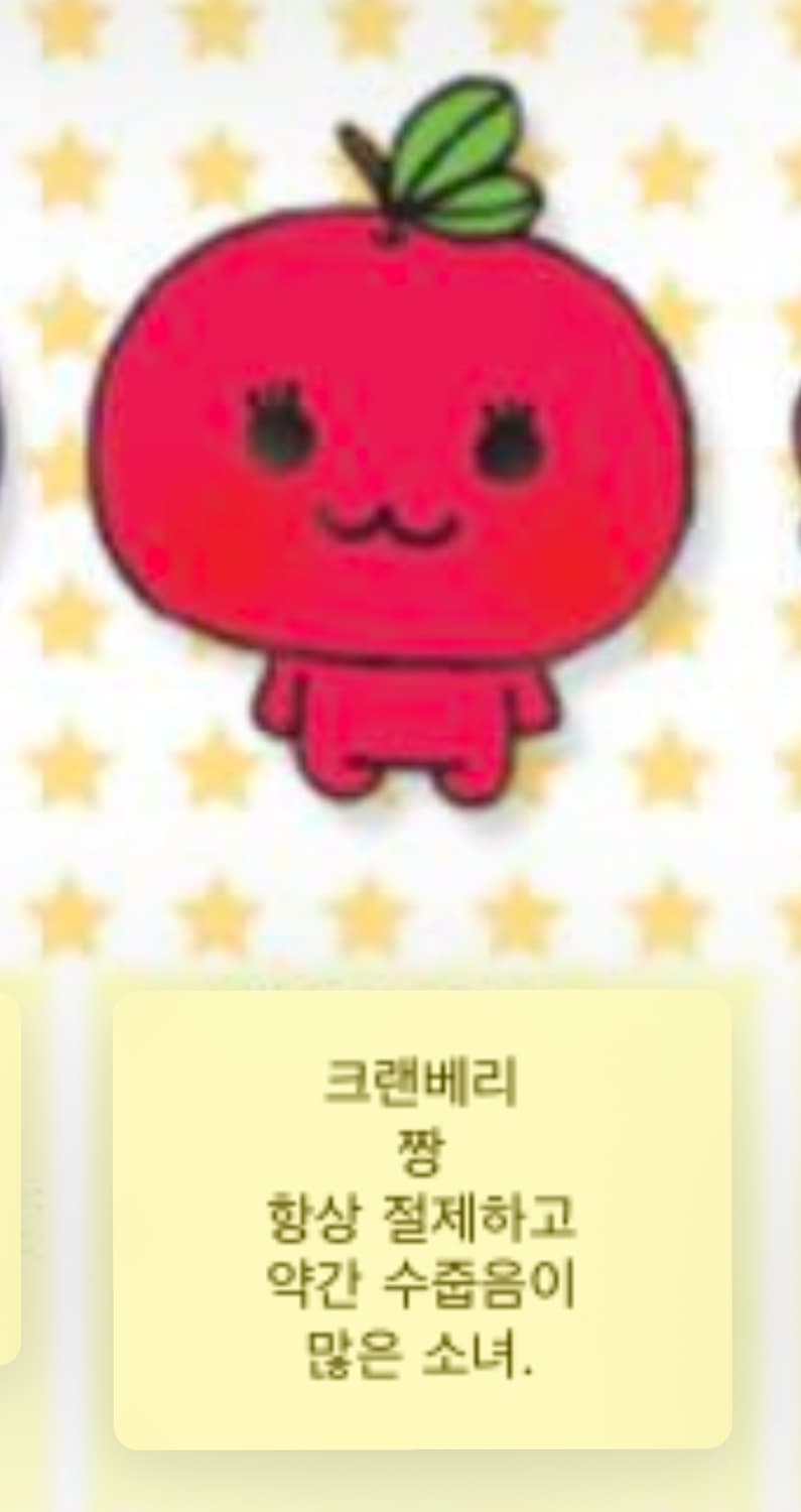 고전 산엑스 미캉보우야 크랜베리짱 인형 상품이미지5