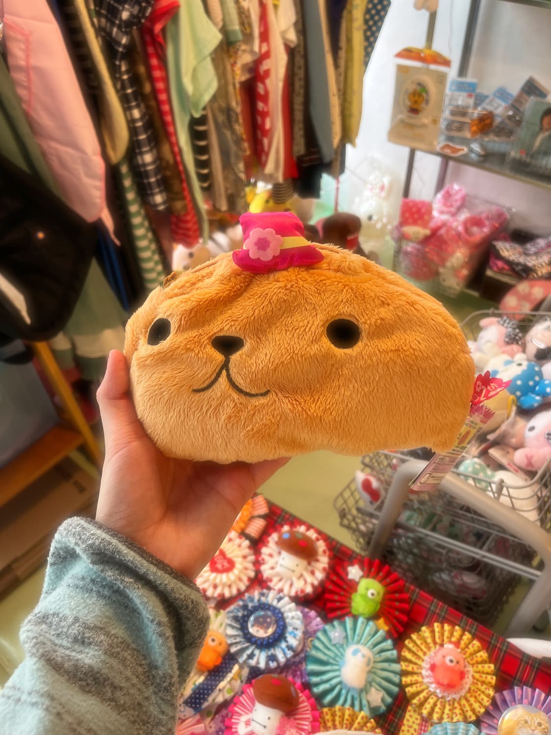 카피바라상 파우치🎵 상품이미지3