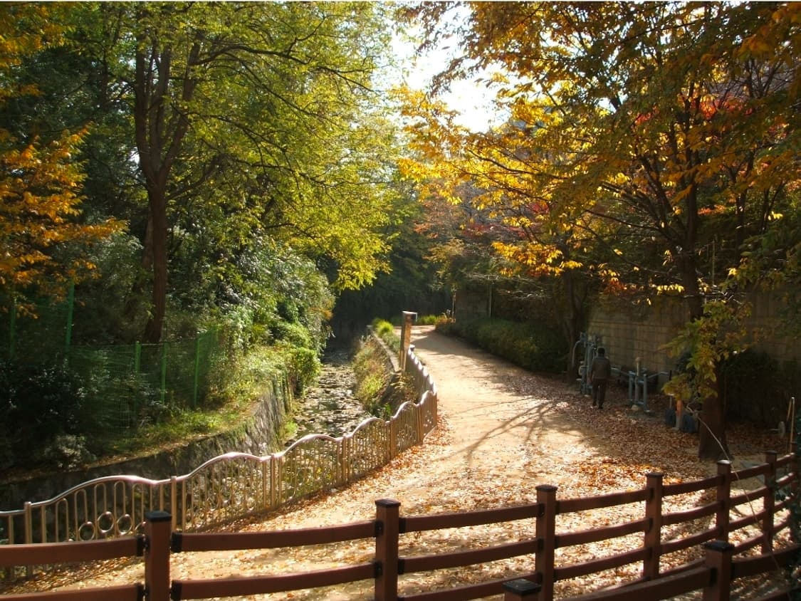 후지필름 파인픽스 F440 판매[작례O/교환] 상품이미지4