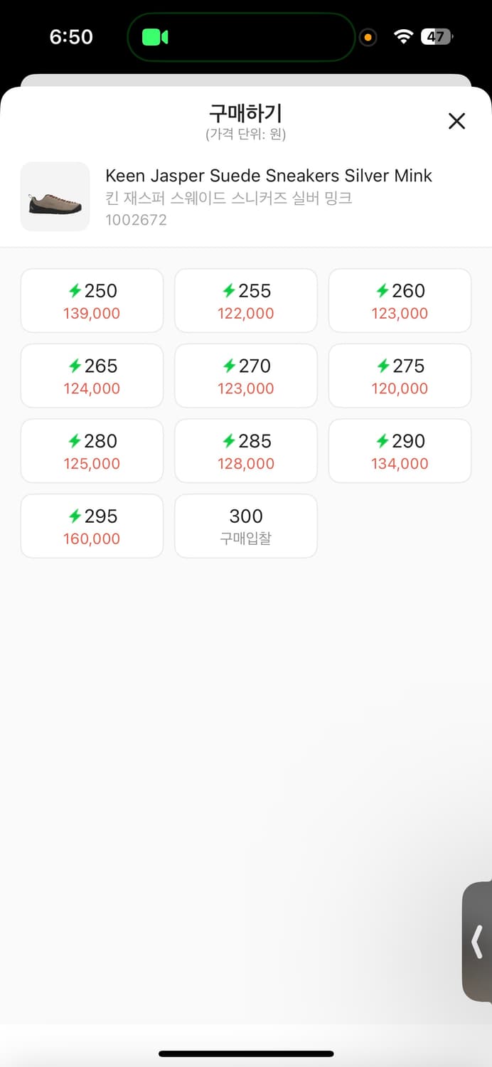 킨 재스퍼 실버 밍크 265 상품이미지4