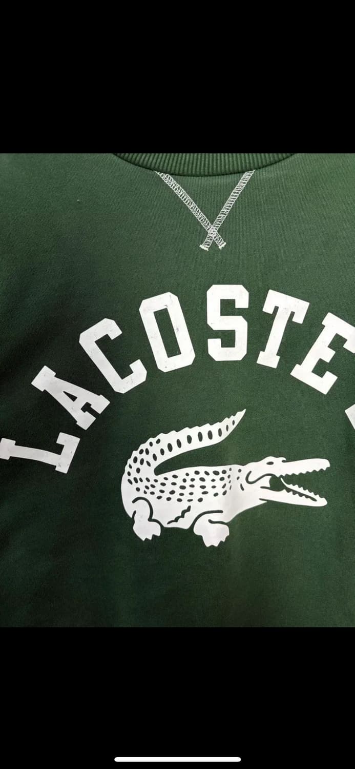 라코스테 빅크록 레터링 그린 스웻셔츠 H2092 상품이미지3