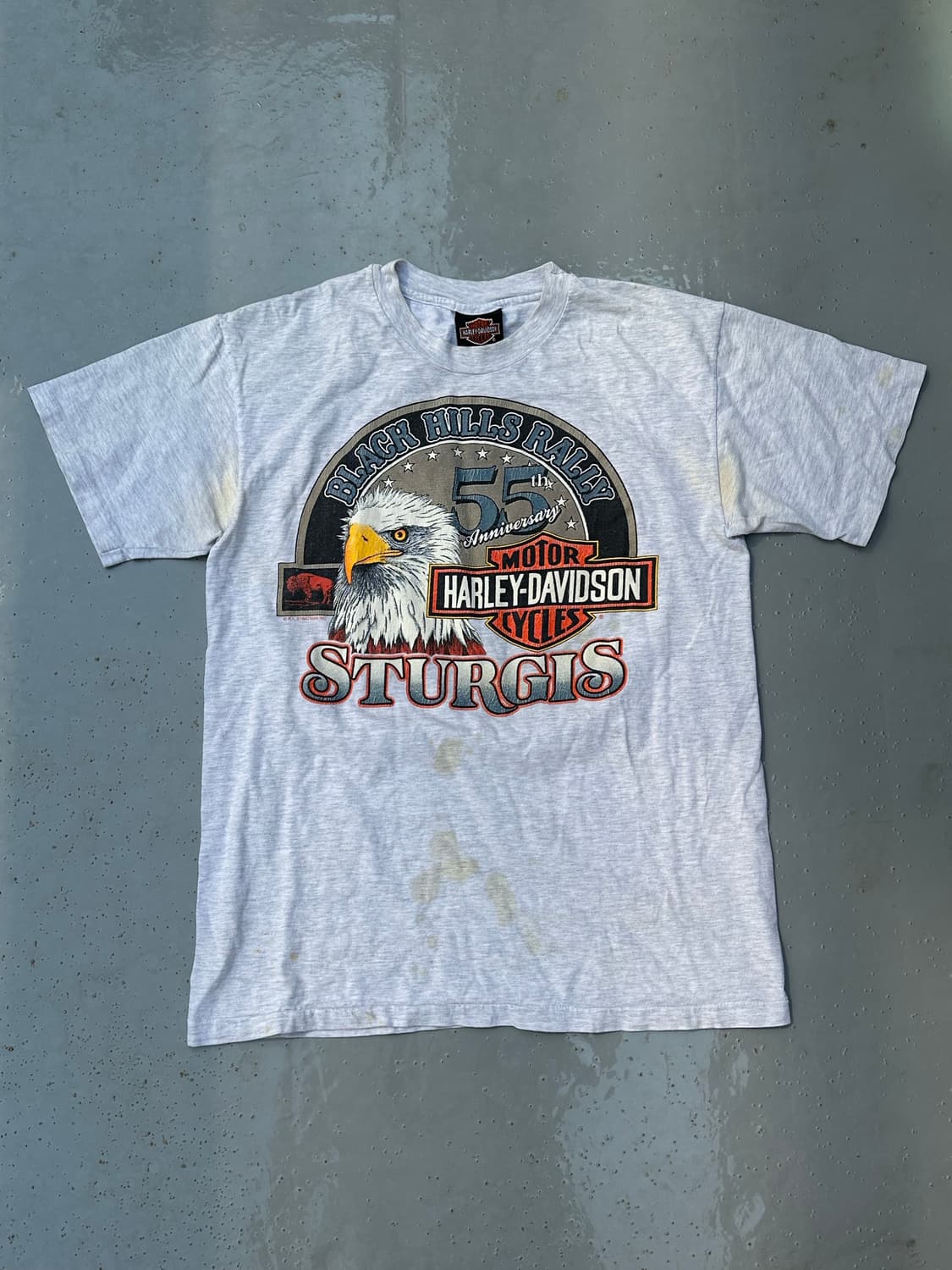 [할리데이비슨] •90s Vintage Sturgis Tee 상품이미지1