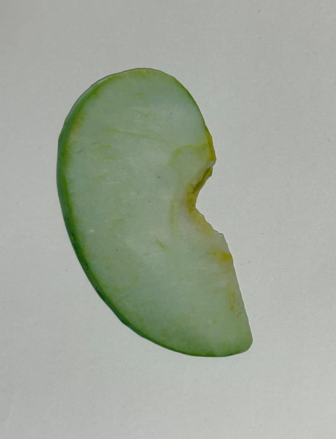 이옥토 한정판 풋사과 책갈피 상품이미지2