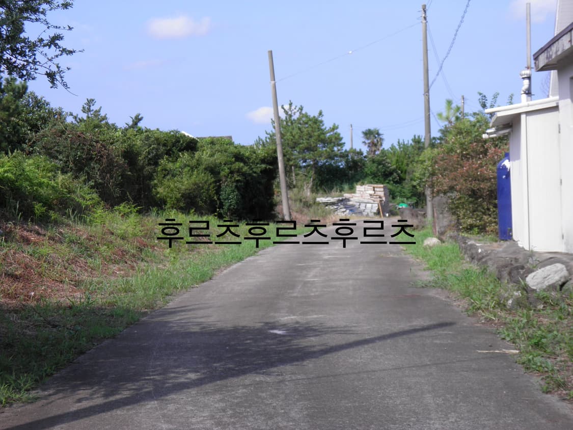 올림푸스 SP-800UZ 디지털 카메라 상품이미지8