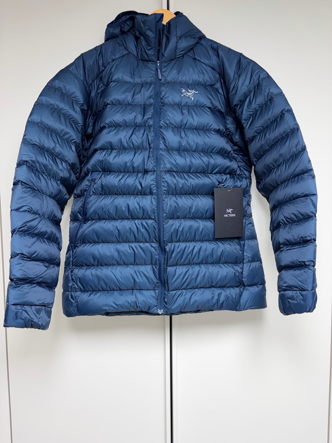 (새상품)아크테릭스 세륨후디 L 상품이미지5