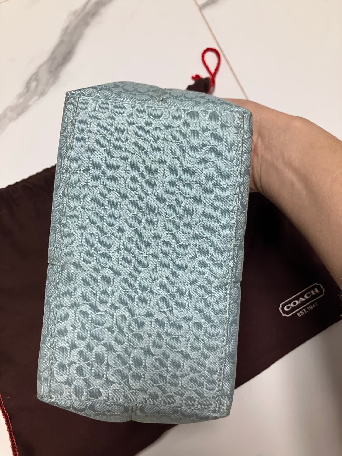 Y2K  코치 베이비 블루 미니 포셰트 백 모노그램 상품이미지6