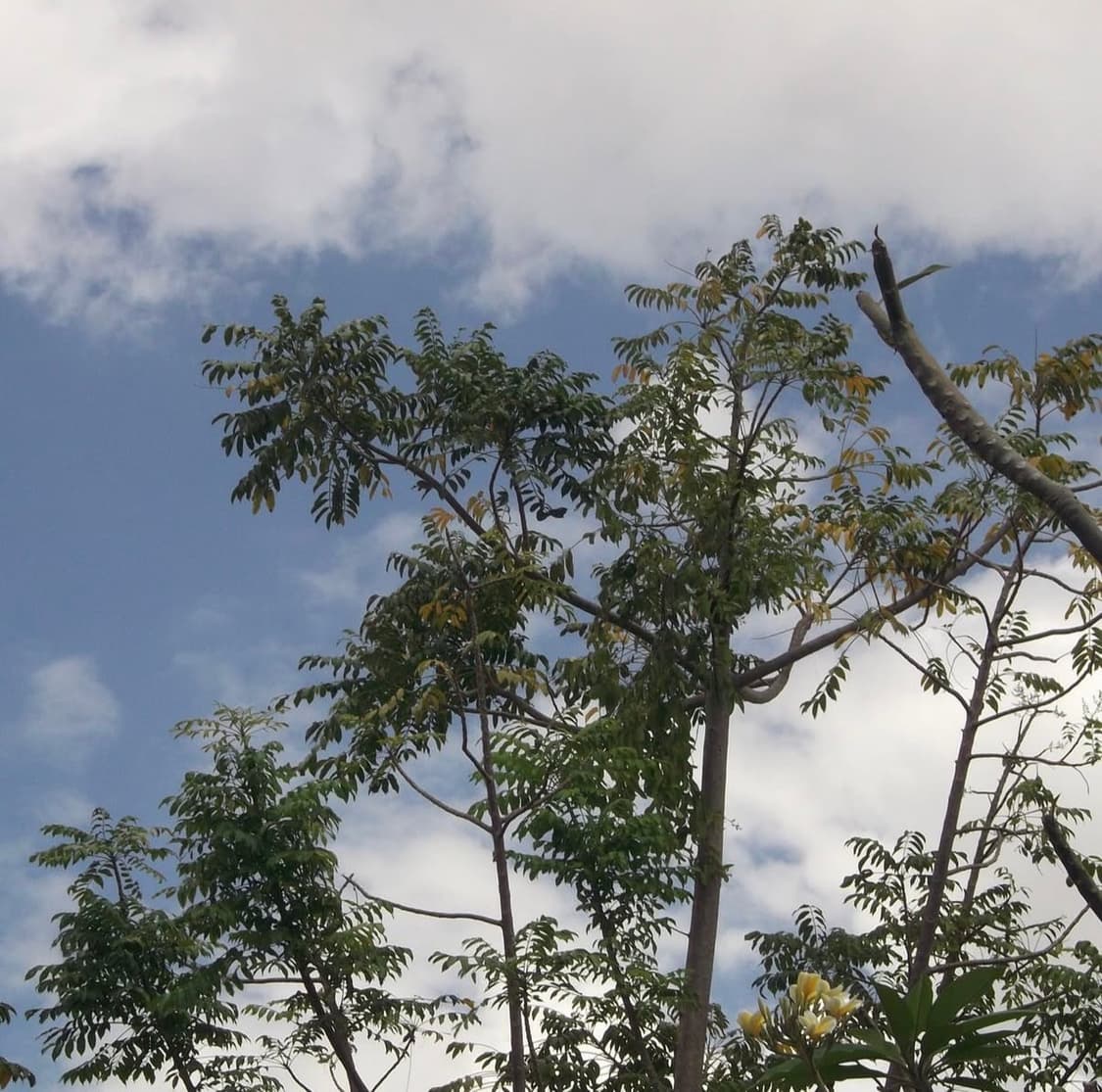 후지필름 파인픽스 Fujifilm FinePix AV210 디지털카메라 상품이미지5