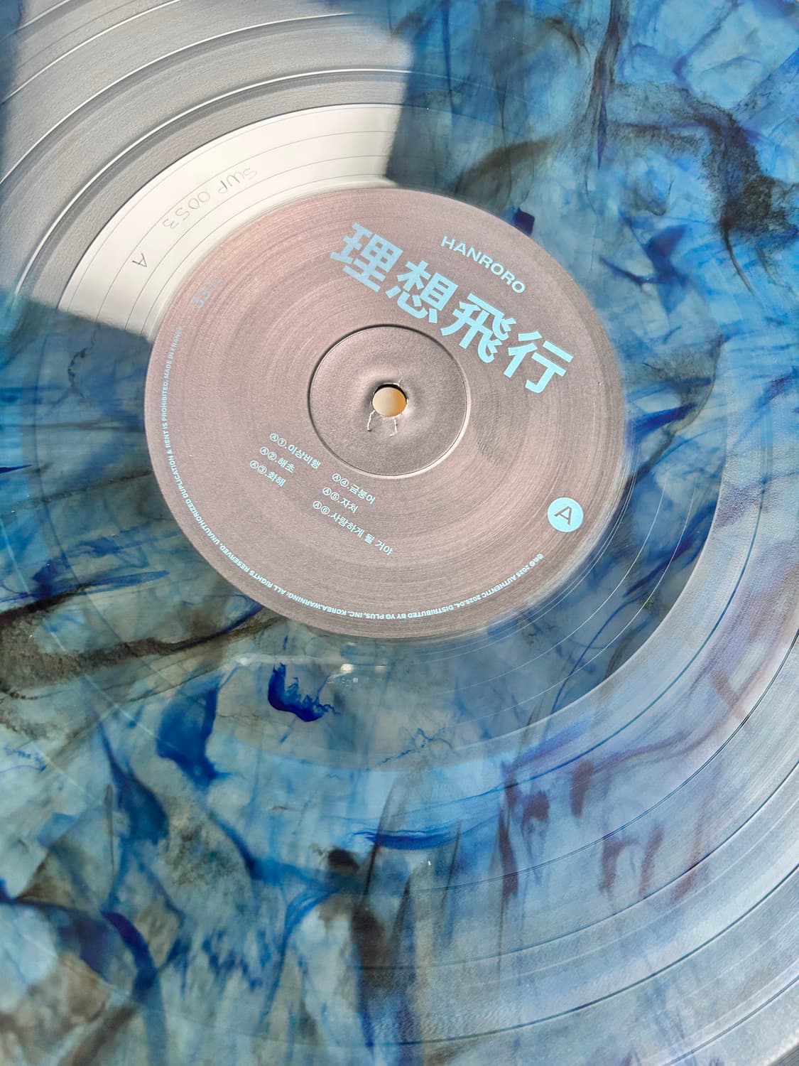 한로로 이상비행 lp 상품이미지3