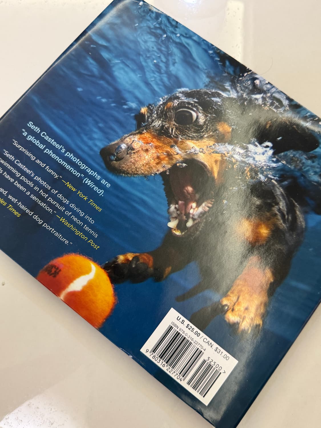 Seth Casteel이 사진을 찍고 저술한 'Underwater Dog 상품이미지2