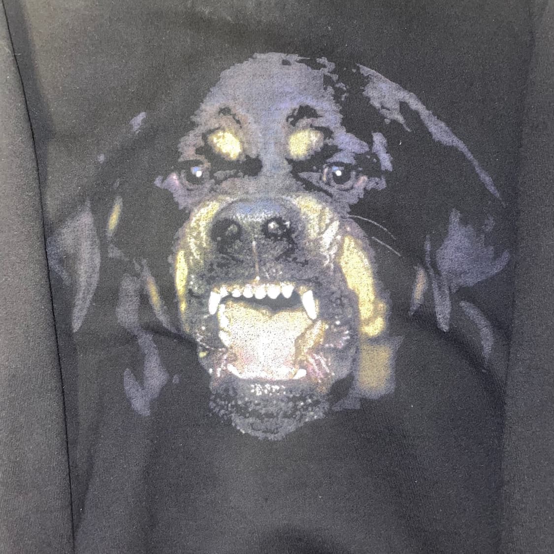 티시 지방시 로트와일러 맨투맨 12FW 상품이미지2