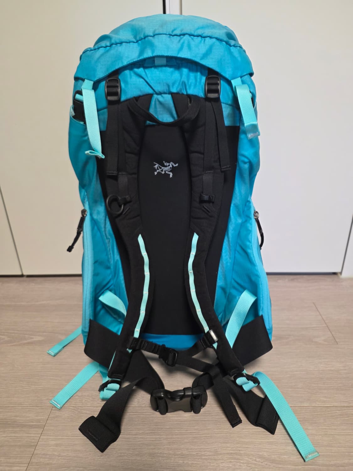 아크테릭스 Altra 33 백팩 Electric Blue

 상품이미지4