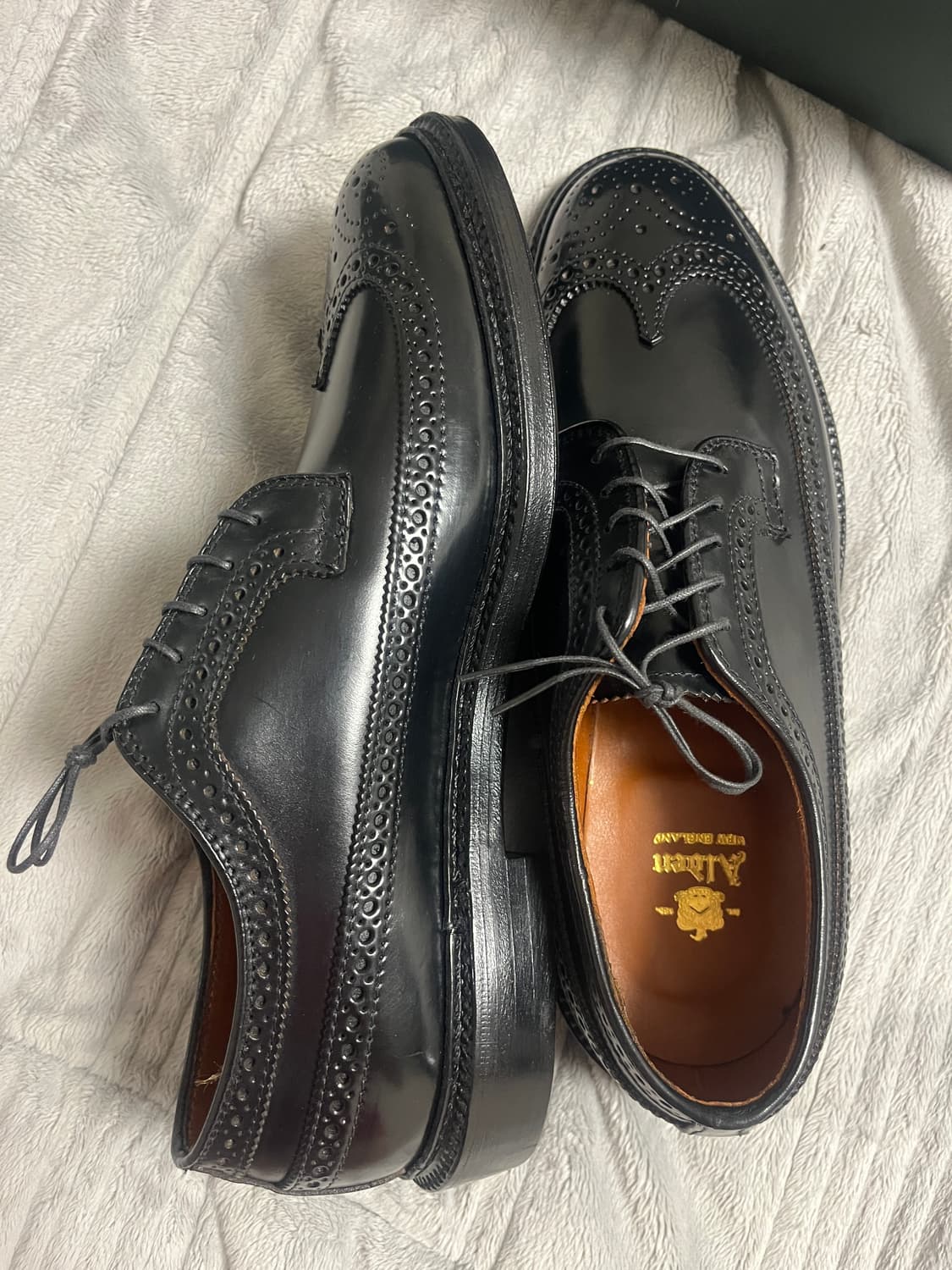 알든 윙팁 블랙 코도반 9751 9.5e 상품이미지10