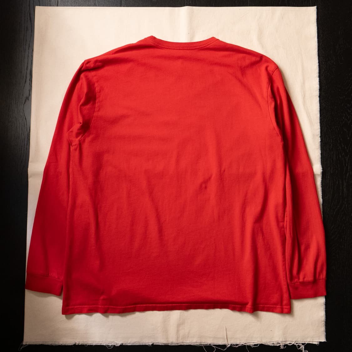 Patagonia ‘Archive Logo’ T /RED (~110) 상품이미지7