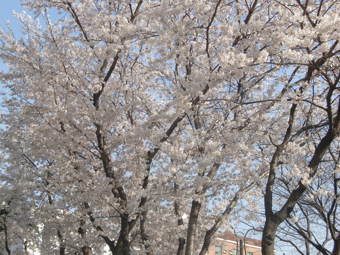 입문&강추!) Casio Exilim EX-Z700 디카 카메라 상품이미지2