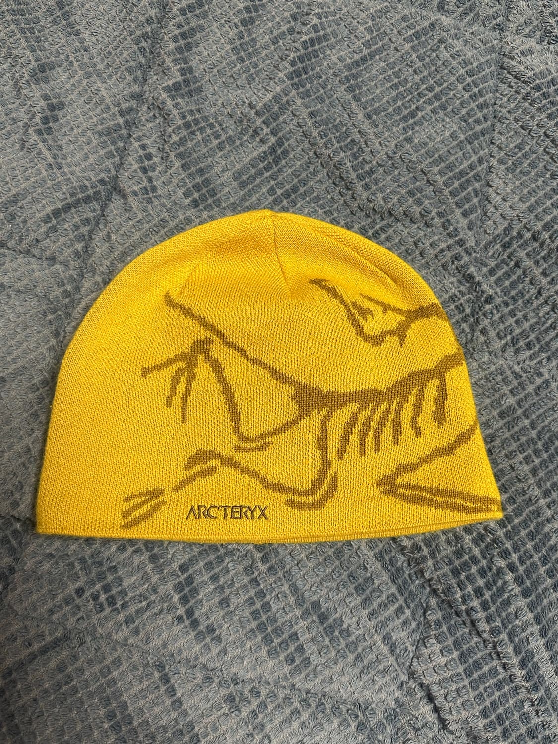 아크테릭스 비니  상품이미지1