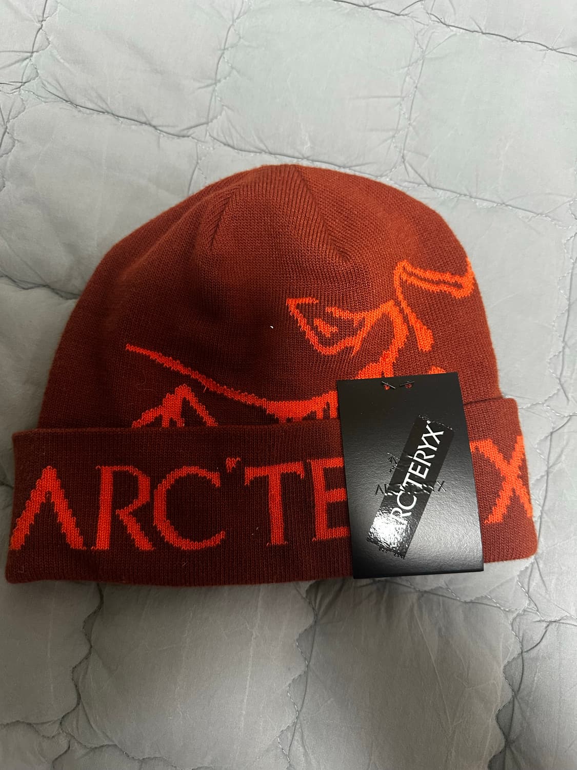 아크테릭스 비니 상품이미지1