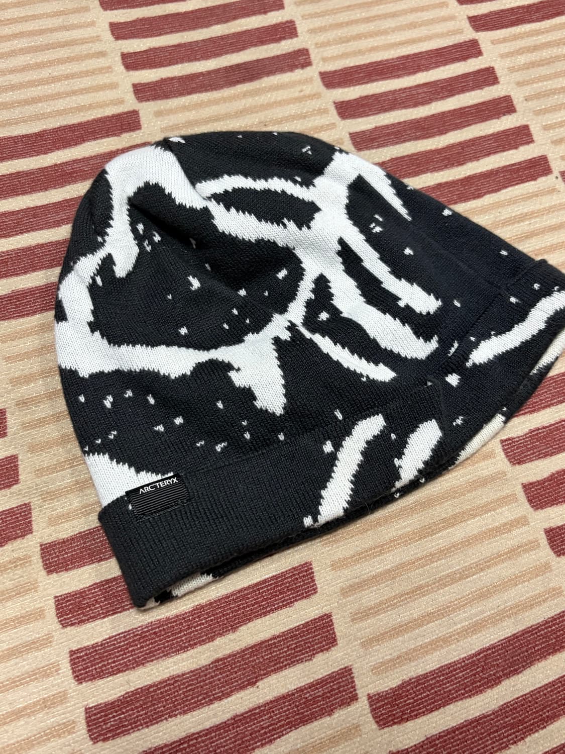 아크테릭스 비니 상품이미지3