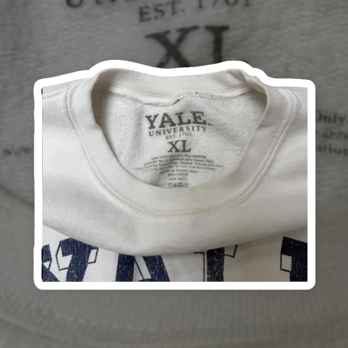 YALE 맨투맨 상품이미지2