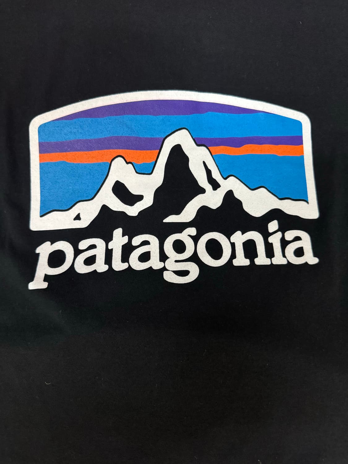 Patagonia 파타고니아 반팔 티셔츠 (블랙) 상품이미지4