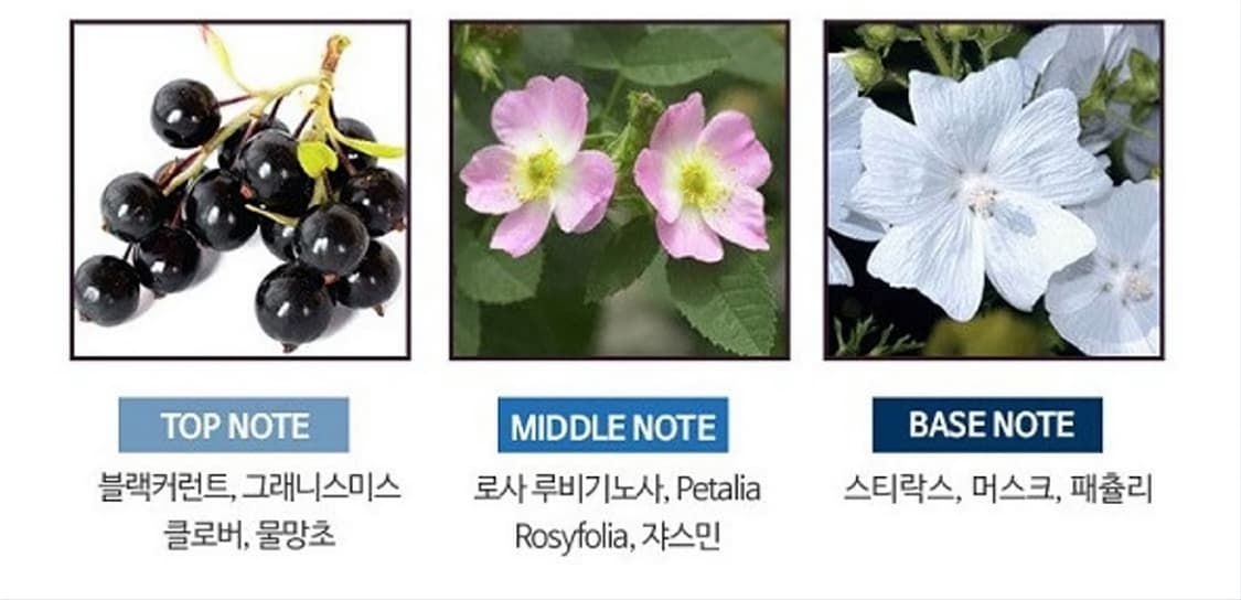 베르사체 딜런 블루팜므 오드퍼퓸 100ml 상품이미지3