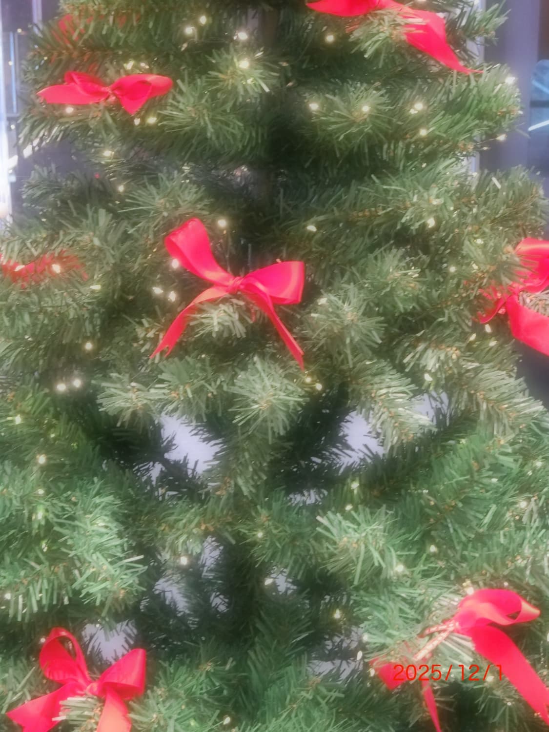 카시오 엑슬림 zr5000 zr4000 소프트포커싱 상품이미지9