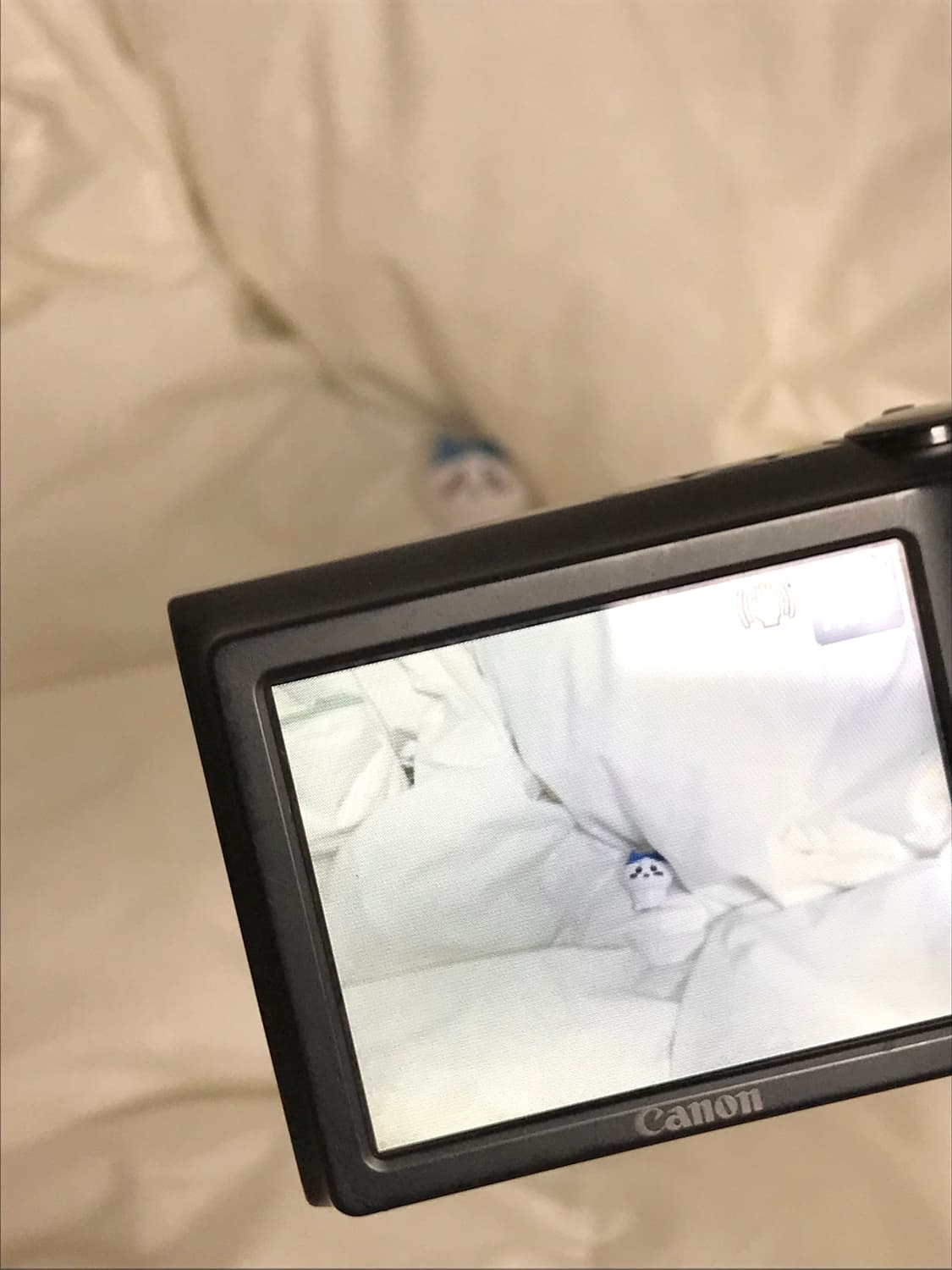 (풀박스!) powershot A2400is 상품이미지6