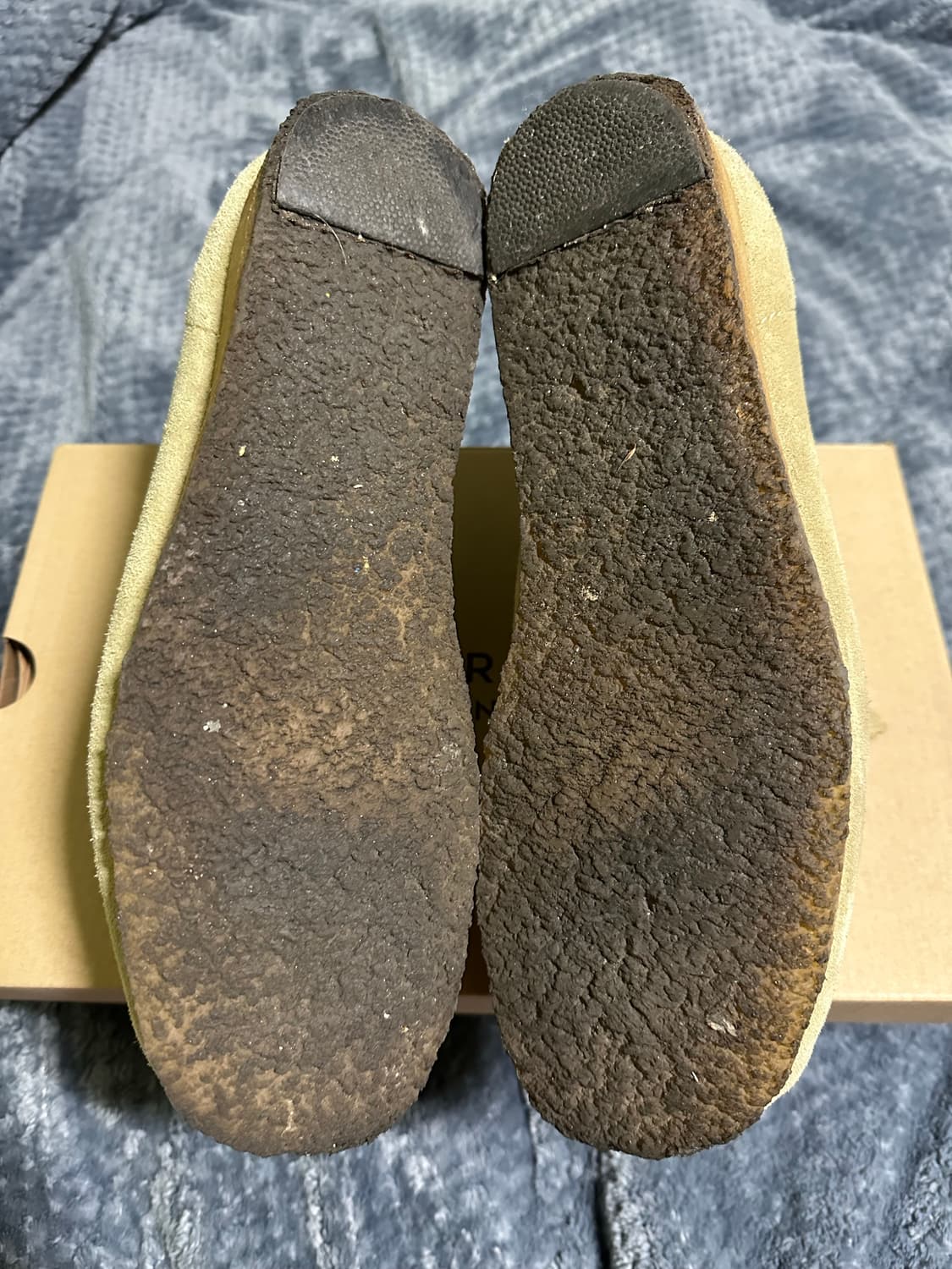 (44)클락스 왈라비 메이플 상품이미지5