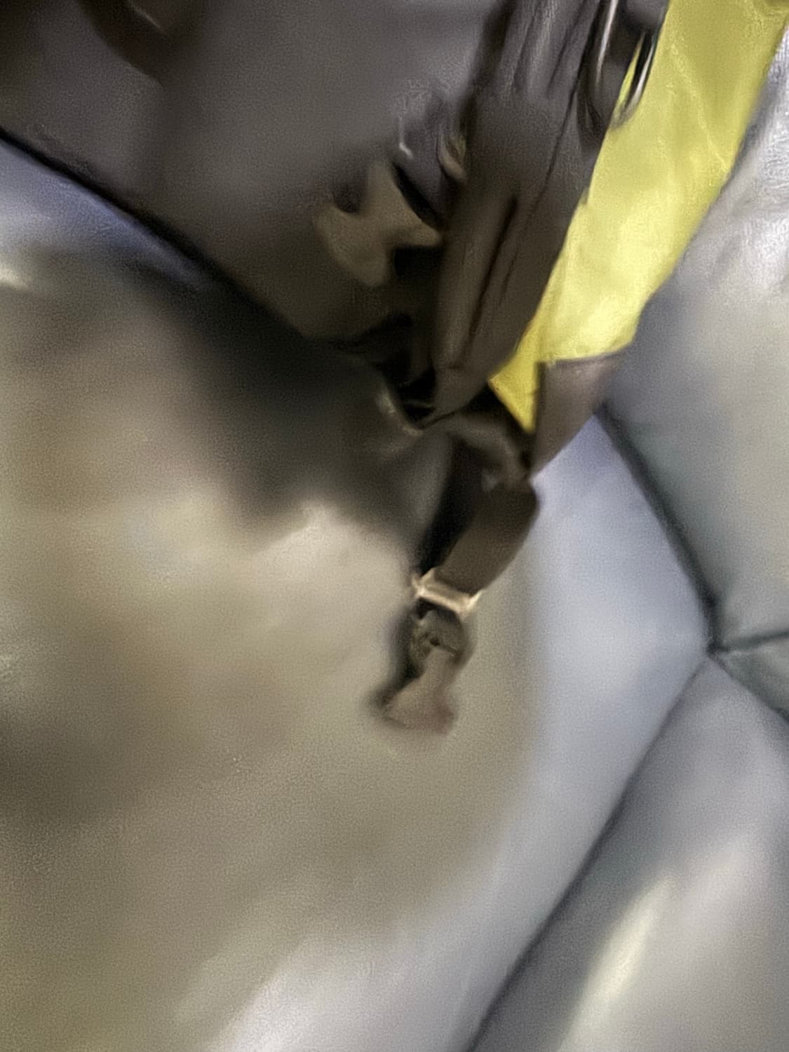 그레고리 데이팩 백팩 26L 상품이미지8