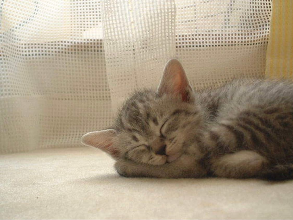 신동품 99% 후지필름 파인픽스 40i 상품이미지3