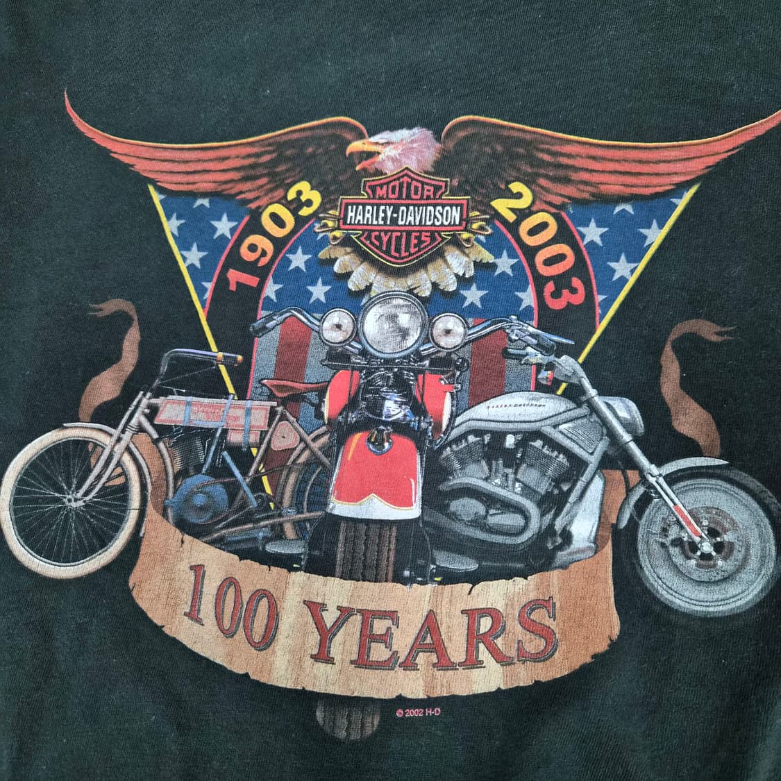 Harley Davidson 100th 반팔티 상품이미지5