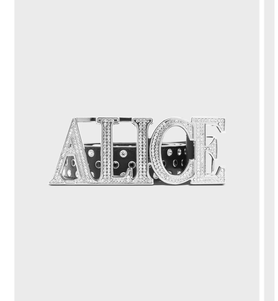 Alice hollywood 엘리스 할리우드 벨트 상품이미지1