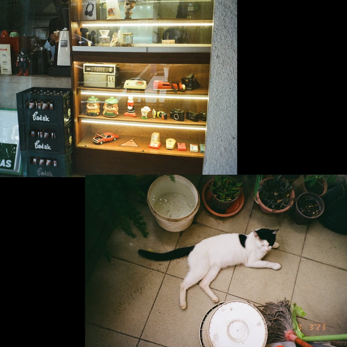 필름카메라 후지필름 실비 70(작례 0) 상품이미지4