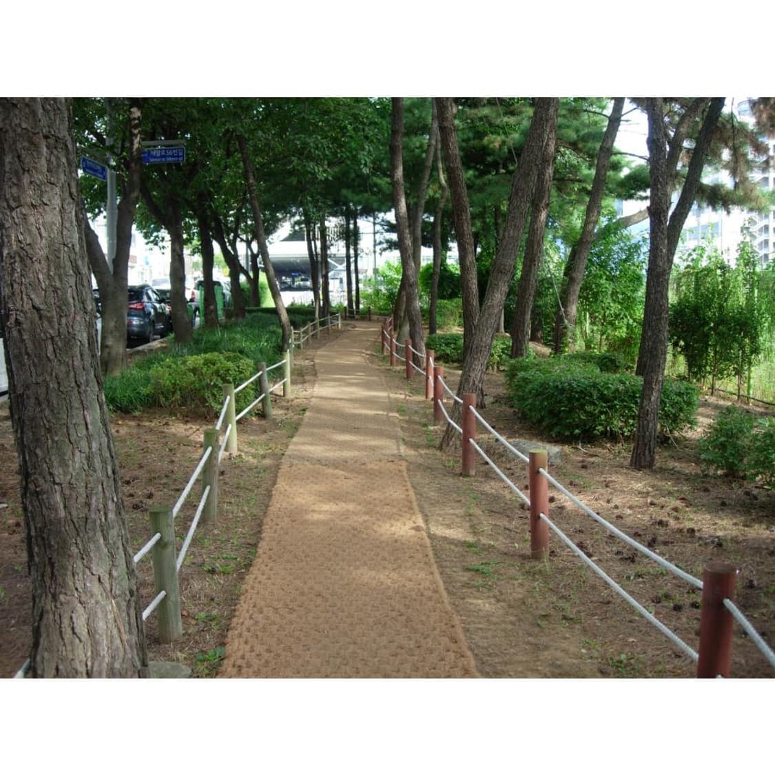 작례⭕️니콘 쿨픽스 5200 상품이미지3