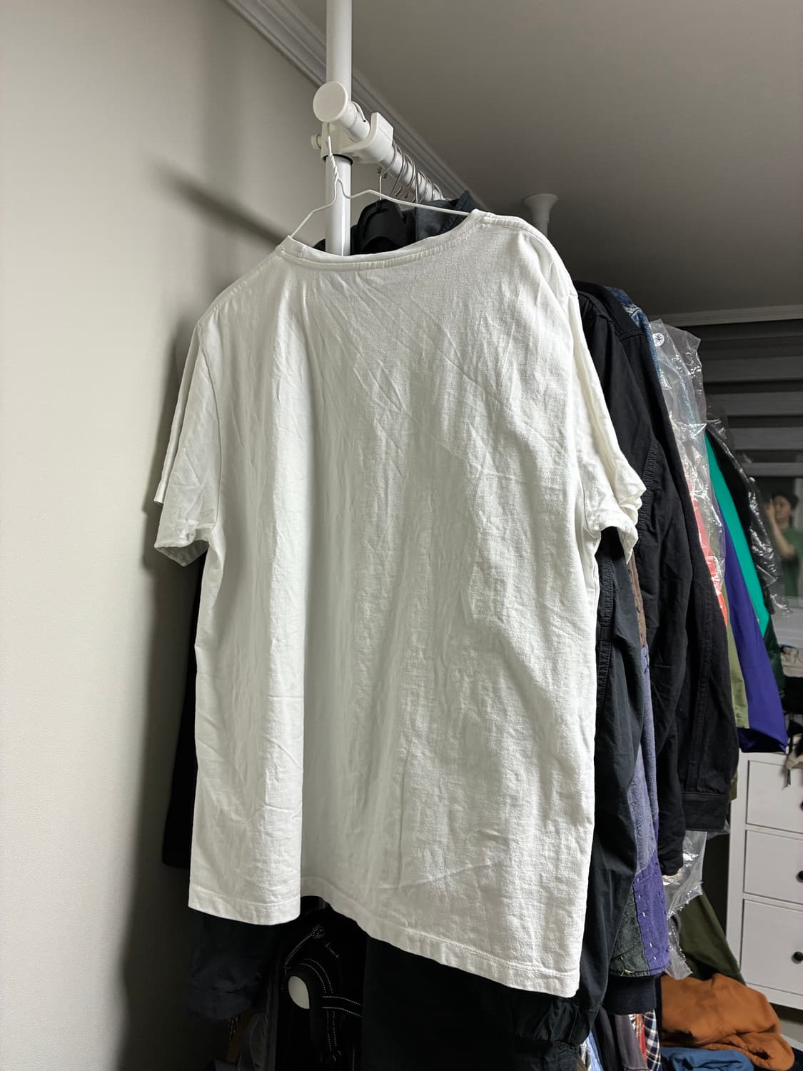 컬렉트피시스 반팔티 L사이즈 상품이미지2