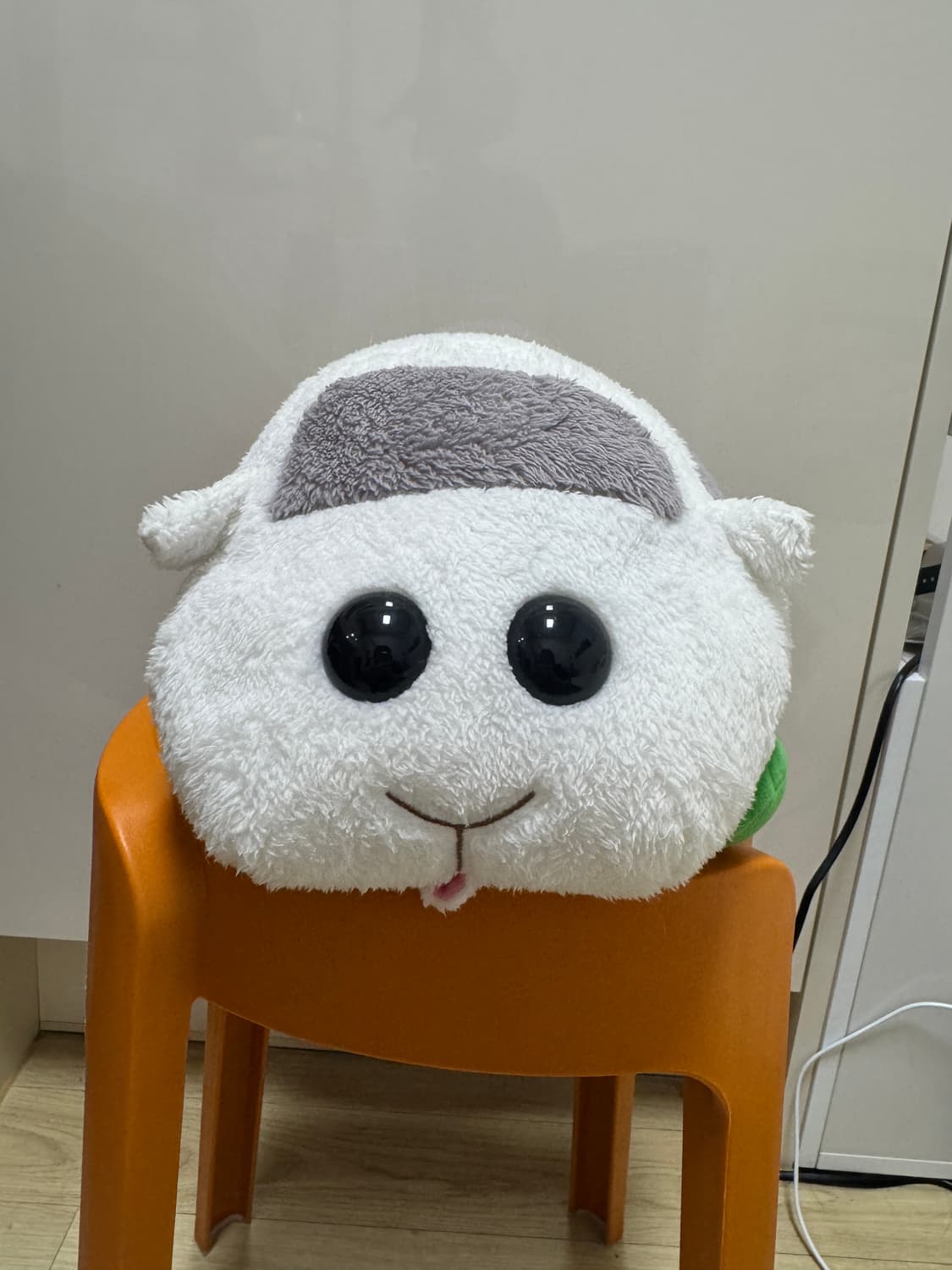 뿌이뿌이 모루카 시로모 인형 2종 상품이미지5