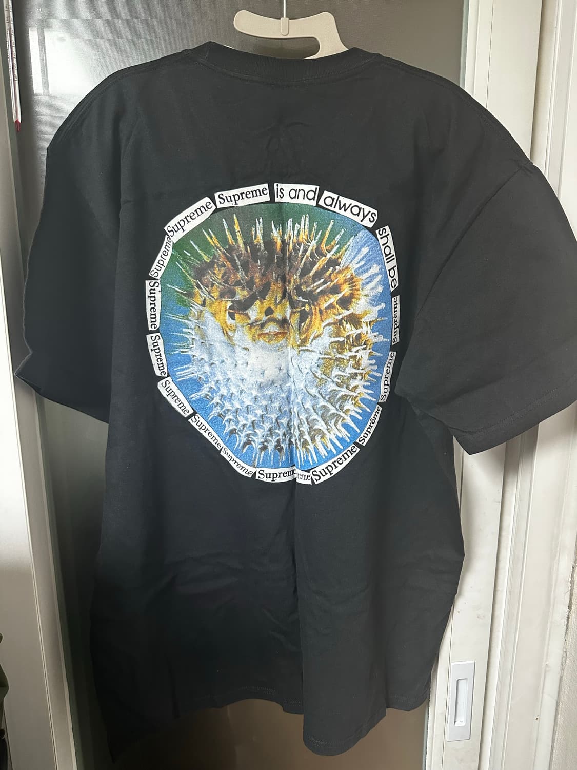 XL) 슈프림 블로우피쉬 티셔츠 블랙 상품이미지3