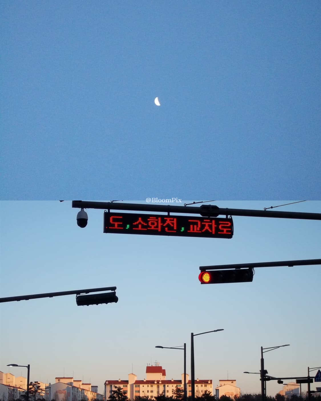 [A~A-급/풀구성] 코닥 C143 KODAK C143 상품이미지8