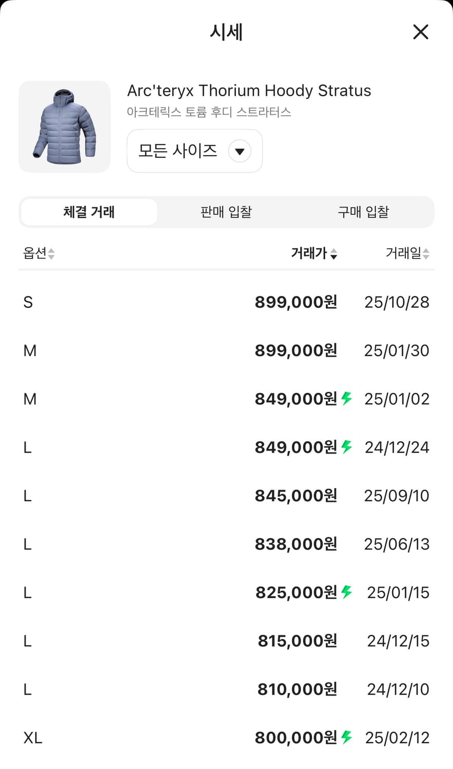 아크테릭스 토륨 후디 스트라터스 상품이미지2